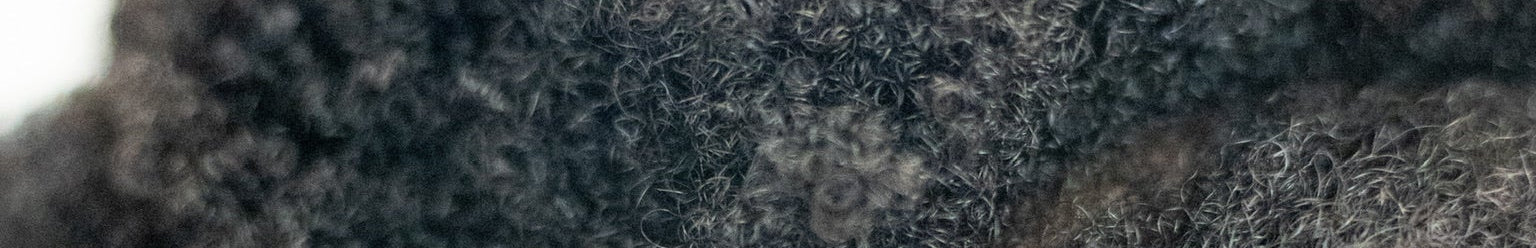 Close-up of textured coily hair